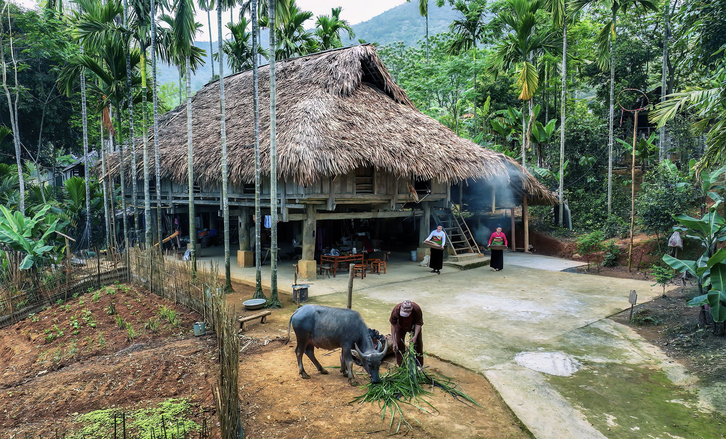 Experience the Authentic Soul of Pu Luong – Full-Day Cultural Adventure